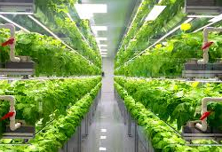 Kadenwood, LLC Has Announced the Acquisition of Ecogen Laboratories