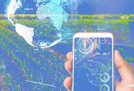  The Uses of Nanotechnology in Biology