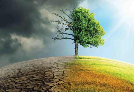 The Impact of Climate Change on Global Ocean Economies