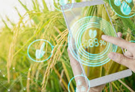 Bruker and Purity-IQ Collaborate to Create a Powerful Testing System for Medical Cannabis