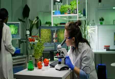 How Nanotechnology is Shaping the Future of Soil Enhancement